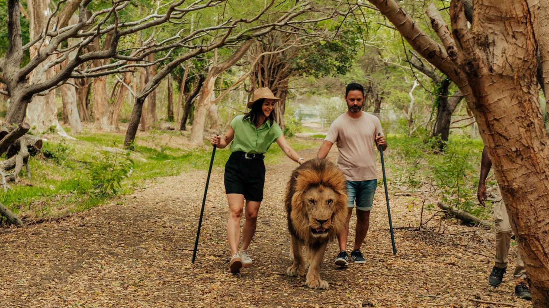 Casela - Predator Kingdom